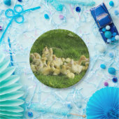 vogels, eenden, eenden, geel, natuur, schattig, ba papieren bordje (Feest)