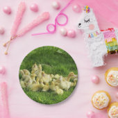 vogels, eenden, eenden, geel, natuur, schattig, ba papieren bordje (Feest)