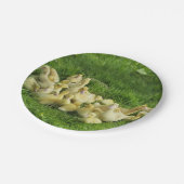 vogels, eenden, eenden, geel, natuur, schattig, ba papieren bordje (Gekanteld)