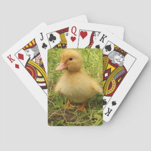 vogels, eenden, eenden, geel, natuur, schattig, ba pokerkaarten