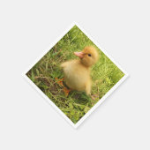 vogels, eenden, eenden, geel, natuur, schattig, ba servet (Hoek)