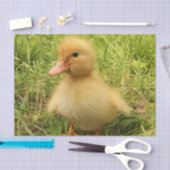 vogels, eenden, eenden, geel, natuur, schattig, ba tissuepapier (Craft)