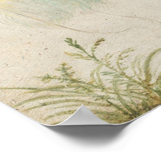 Vogels en apen - Jan van Kessel Fine Art Poster (Hoek)