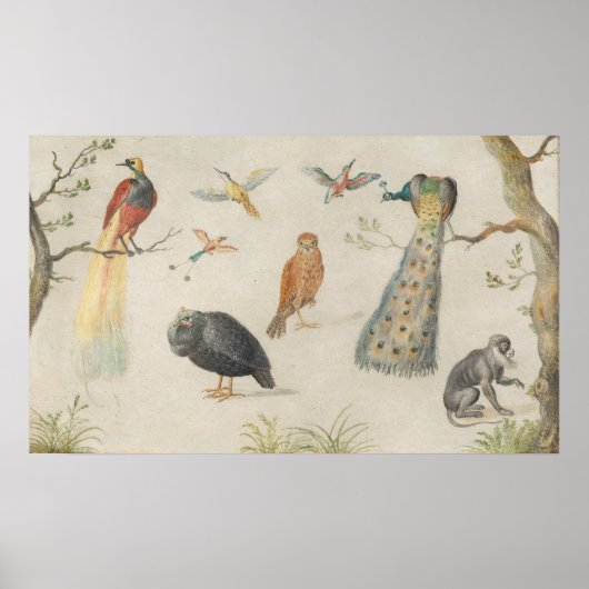 Vogels en apen - Jan van Kessel Fine Art Poster (Voorkant)