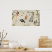 Vogels en apen - Jan van Kessel Fine Art Poster (Keuken)