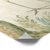 Vogels en apen - Jan van Kessel Fine Art Poster (Hoek)