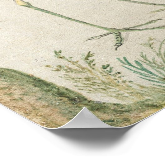 Vogels en apen - Jan van Kessel Fine Art Poster (Hoek)