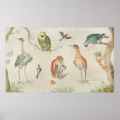 Vogels en apen - Jan van Kessel Fine Art Poster (Voorkant)