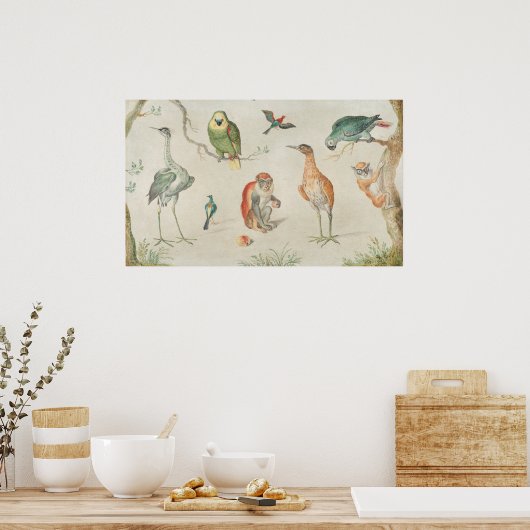 Vogels en apen - Jan van Kessel Fine Art Poster (Keuken)