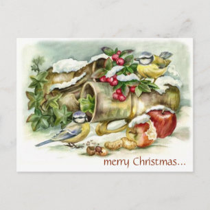 vogels en appels in de kerststal briefkaart