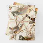 Vogels en bijen inpakpapier vel (In situ)