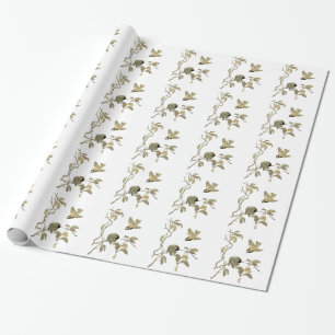 vogels en bijkantoor cadeaupapier