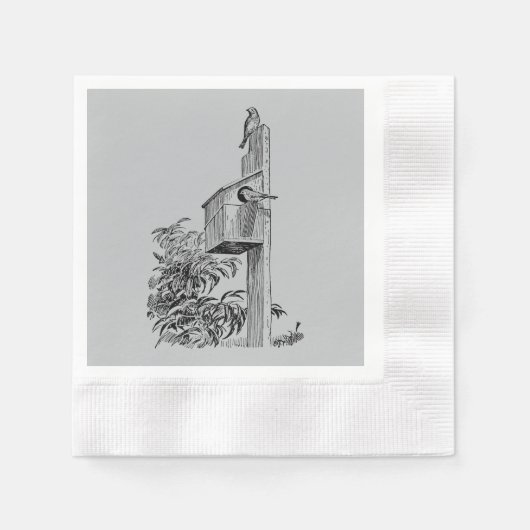  vogels en Birdhouse Silver Servetten (Voorkant)