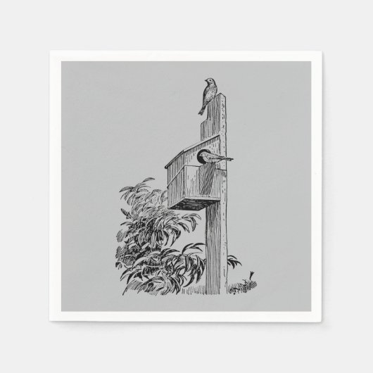 vogels en Birdhouse Silver Servetten (Voorkant)