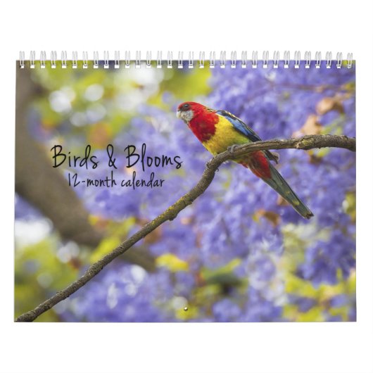 Vogels en bloemen 12 maanden kalender (Hoes)