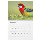 Vogels en bloemen 12 maanden kalender (Jan 2026)