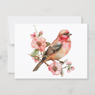  vogels en bloemen briefkaart