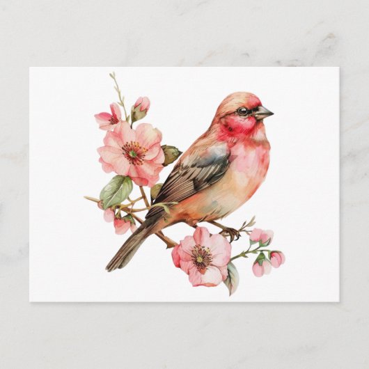  vogels en bloemen briefkaart (Voorkant)