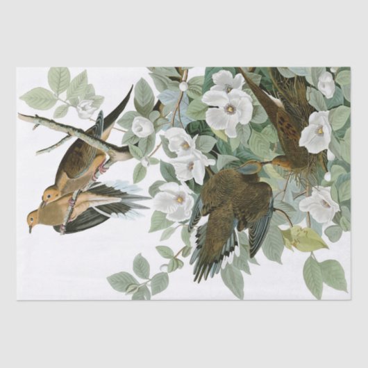 Vogels en bloemen Natuurlijk 15 x 20 inch weefselp Tissuepapier (Voorkant)