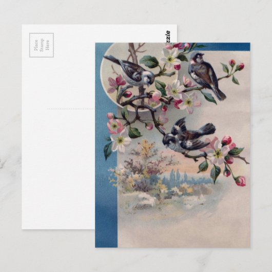  vogels en bloesems briefkaart (Voorkant / Achterkant)