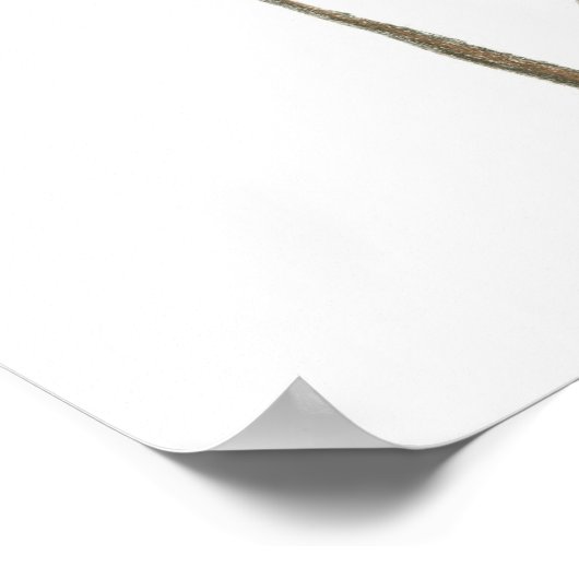 Vogels en bloesems (klein poster) poster (Hoek)