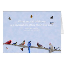 Vogels en botervliegen — Andere dan onze eigen bes