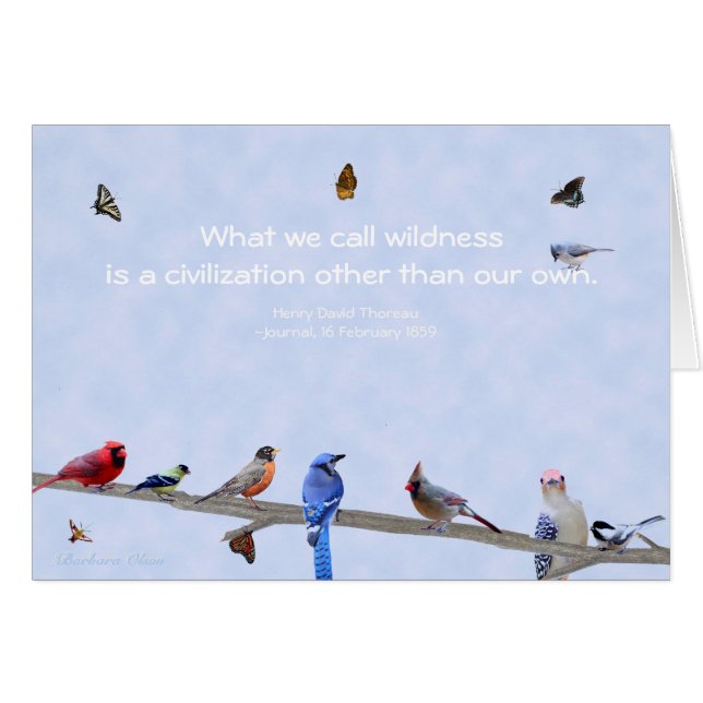 Vogels en botervliegen — Andere dan onze eigen bes (Voorkant Horizontaal)