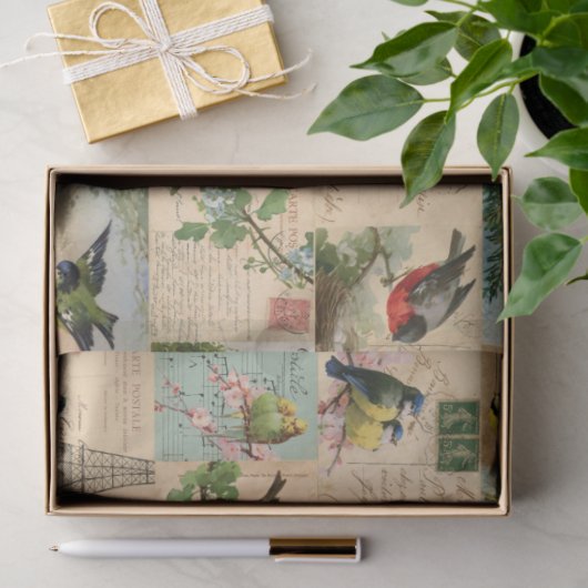 Vogels en Briefkaarten Collage Ephemera Weefsel Tissuepapier (Geschenk)