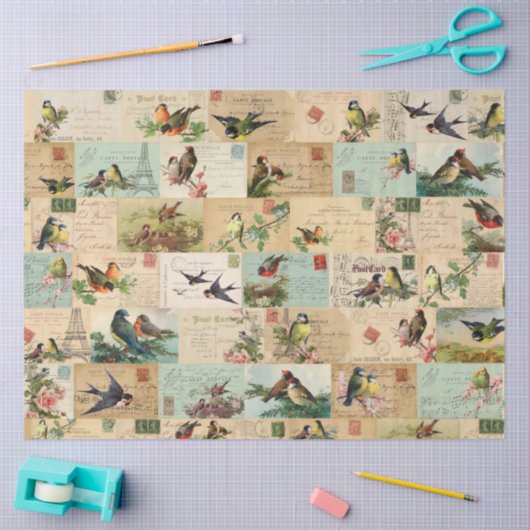 Vogels en Briefkaarten Collage Ephemera Weefsel Tissuepapier (Craft)