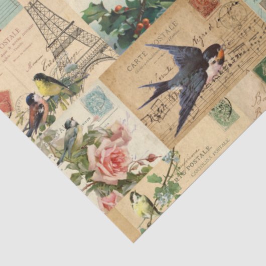 Vogels en Briefkaarten Collage Ephemera Weefsel Tissuepapier (Detail)