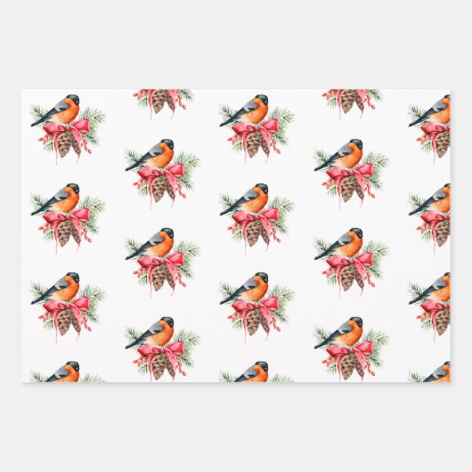 vogels en dennenappels inpakpapier vel (Voorkant)