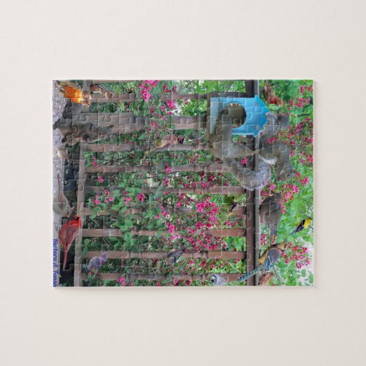 Vogels en eekhoorntjes in aanvoerpuzzle legpuzzel (Horizontaal)