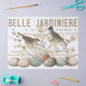 Vogels en eieren  Frans ontkoppelingspagina Tissuepapier (Craft)