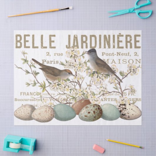 Vogels en eieren  Frans ontkoppelingspagina Tissuepapier (Craft)