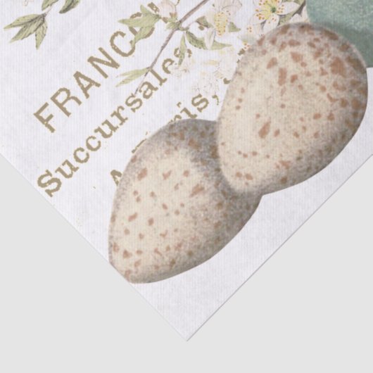 Vogels en eieren  Frans ontkoppelingspagina Tissuepapier (Detail)