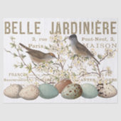 Vogels en eieren  Frans ontkoppelingspagina Tissuepapier (Voorkant)
