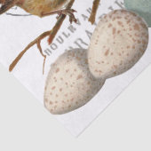 Vogels en eieren  Frans Parijs Tekst Decoupage Tissuepapier (Detail)