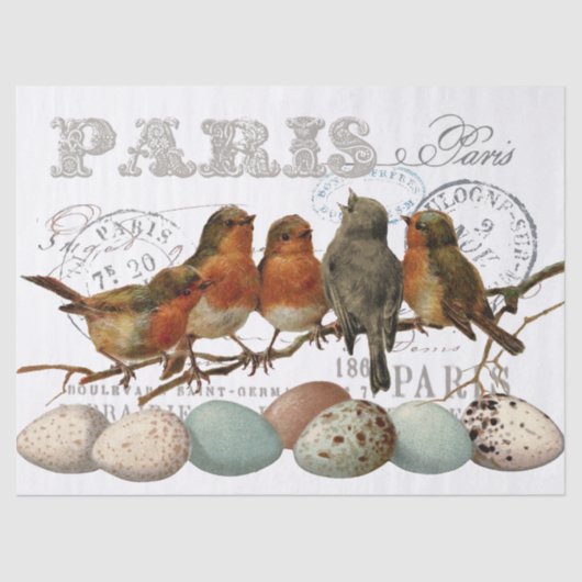 Vogels en eieren  Frans Parijs Tekst Decoupage Tissuepapier (Voorkant)