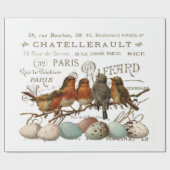 Vogels en eieren  Franse naamloze vennootschap Cadeaupapier (Vlak)