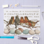 Vogels en eieren  Franse naamloze vennootschap Tissuepapier (Craft)