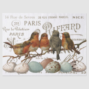 Vogels en eieren Franse naamloze vennootschap Tissuepapier