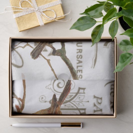 Vogels en eieren  Franse naamloze vennootschap Tissuepapier (Geschenk)