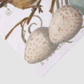 Vogels en eieren  Franse naamloze vennootschap Tissuepapier (Detail)