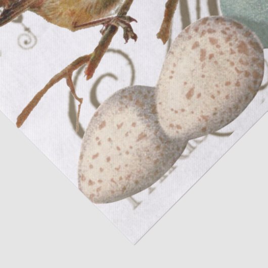 Vogels en eieren  Franse naamloze vennootschap Tissuepapier (Detail)