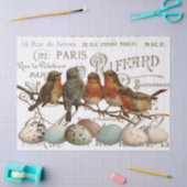 Vogels en eieren  Franse naamloze vennootschap Tissuepapier (Craft)