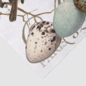 Vogels en eieren  Franse naamloze vennootschap Tissuepapier (Detail)