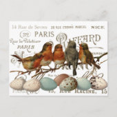 Vogels en eieren Franse stadsnamen Scrapbook Briefkaart (Voorkant)