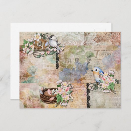  vogels en Ephemera Collage Briefkaart (Voorkant / Achterkant)