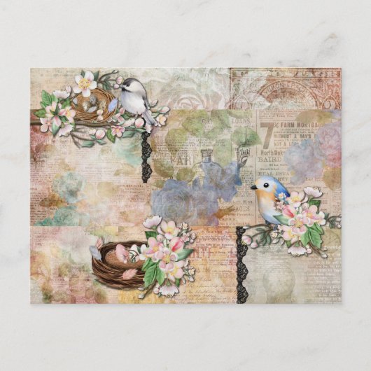 vogels en Ephemera Collage Briefkaart (Voorkant)