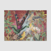 Vogels en groen tissuepapier (Voorkant)